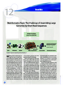 12  Great Idea Bioinformatics Topic: The Challenge of Assembling Large Genomes by Short Read Sequences