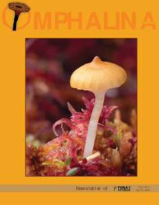 OMPHALINA ISSNNewsletter of  Vol I, No 4
