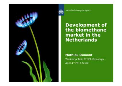 Microsoft PowerPoint - Green_Gas_Grid_Development_in_NL_Mathieu_Dumont_04pptx