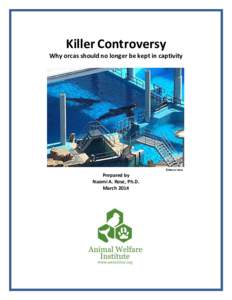 Killer Controversy Why orcas should no longer be kept in captivity ©Naomi Rose  Prepared by