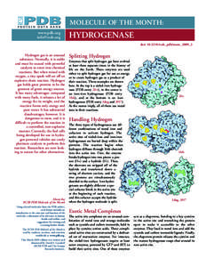 MOLECULE OF THE MONTH: www.pdb.org [removed] HYDROGENASE doi: [removed]rcsb_pdb/mom_2009_3