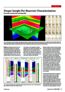 Software  Deeper Insight For Reservoir Characterisation Merrie-Ellen Gunning B. App. Sci (Geology) MBA  Fig. 1. The 3D viewer is at the core of Insight. Co-rendering allows the user to visually combine multiple volumes (