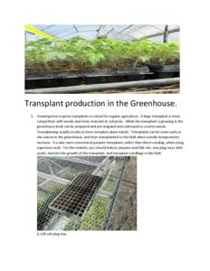 Transplant production in the Greenhouse. 1. Knowing how to grow transplants is critical for organic agriculture. A large transplant is more competitive with weeds and more resistant to soil pests. While the transplant is