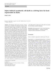 Dev Genes Evol:39–52 DOIs00427y REVIEW  Injury-induced asymmetric cell death as a driving force for head