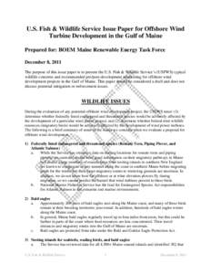 U.S. Fish & Wildlife Service Issue Paper for Offshore Wind Turbine Development in the Gulf of Maine Prepared for: BOEM Maine Renewable Energy Task Force December 8, 2011 The purpose of this issue paper is to present the 