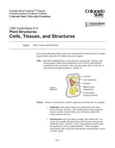 Microsoft Word[removed]CellsStructuresC.doc