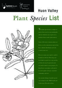 Understorey Network H uo n Va l l ey  Plant Species List