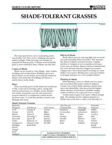 HORTICULTURE REPORT  SHADE-TOLERANT GRASSES Turfgrass  Effects of Shade