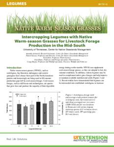 LEGUMES  SP 731-G Intercropping Legumes with Native Warm-season Grasses for Livestock Forage