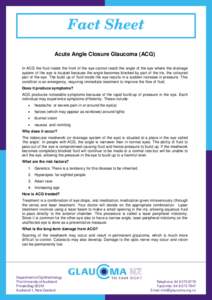 Microsoft Word - Acute Angle Closure Glaucoma VAL.doc