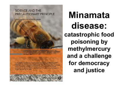 Minamata disease: catastrophic food poisoning by methylmercury and a challenge