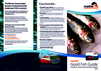 The Marine Conservation Society’s Pocket Good Fish Guide puts YOU in control. YOU can safeguard the future of our fisheries and other marine wildlife by only choosing fish from sustainable sources.