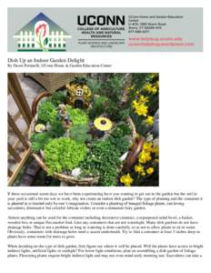 Dish Up an Indoor Garden Delight By Dawn Pettinelli, UConn Home & Garden Education Center If these occasional warm days we have been experiencing have you wanting to get out in the garden but the soil in your yard is sti