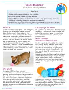 Canine Distemper  Information for Dog Owners Key Facts •	Distemper is a very contagious viral infection. •	It causes severe disease in young puppies.