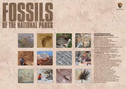 National Park Service  Selected National Parks and Monuments with Fossils Agate Fossil Beds National Monument, Nebraska Arches National Park, Utah