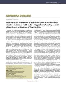 Biology / Chytridiomycota / Nature / Batrachochytrium / Chytridiomycosis / Frogs / Hellbender / Decline in amphibian populations / Common mudpuppy / BD / Ranavirus / Amphibian