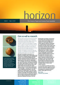 ISSUE 5  March 2009 horizon The Amarna Project and Amarna Trust newsletter