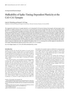 6610 • The Journal of Neuroscience, June 14, 2006 • 26(24):6610 – 6617  Developmental/Plasticity/Repair Malleability of Spike-Timing-Dependent Plasticity at the CA3–CA1 Synapse