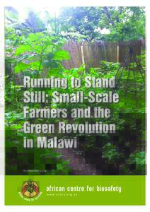 Running to Stand Still: Small-Scale Farmers and the Green Revolution in Malawi September 2014