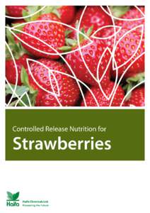 Microsoft Word - CRF for strawberries - Updated