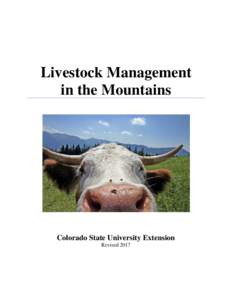 Livestock Management   in the Mountains