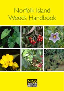 Norfolk Island Weeds Handbook Norfolk Island Weeds Handbook © NIQS 2014 Collated by Bethany Reid
