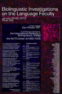 Biolinguistic Investigations on the Language Faculty January 26­28, 2015 Pavia, Italy Ken Wexler, MIT A conference organized by