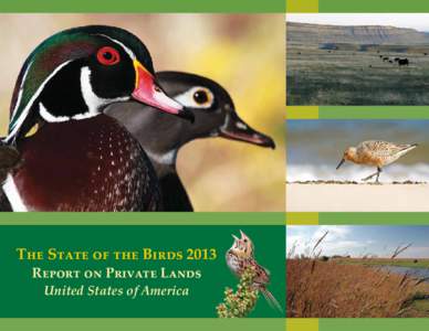 The State of the Birds 2013 Report on Private Lands United States of America Contents Foreword .  .  .  .  .  .  .  .  .  .  .  .  .  .  .  .  .  .  .  .  .  .  .  .  .  .  .  .  .  .  .  .  .  . 3
