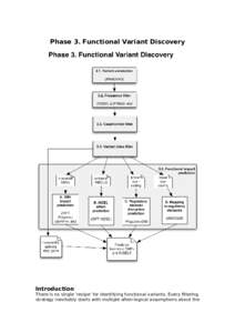 Phase 3. Functional Variant Discovery  Introduction There is no single ‘recipe’ for identifying functional variants. Every filtering strategy inevitably starts with multiple often-logical assumptions about the