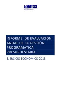 INFORME DE EVALUACIÓN ANUAL DE LA GESTIÓN PROGRAMATICA PRESUPUESTARIA EJERCICIO ECONÓMICO 2013