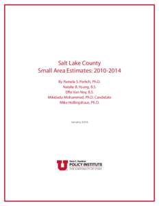 Salt Lake County Small Area Estimates: By Pamela S. Perlich, Ph.D. Natalie B. Young, B.S. Effie Van Noy, B.S. Mikidadu Mohammed, Ph.D. Candidate