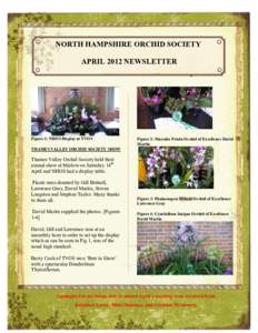 NORTH HAMPSHIRE ORCHID SOCIETY APRIL 2012 NEWSLETTER # Figure 1: NHOS Display at TVOS