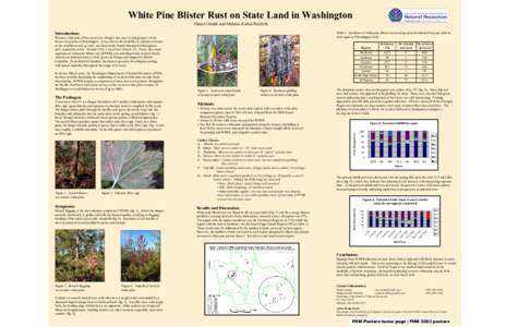 Microsoft PowerPoint - wpbr large poster_rev.ppt