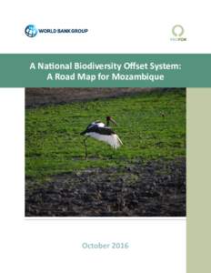 A National Biodiversity Offset System: A Road Map for Mozambique October 2016  A National Biodiversity