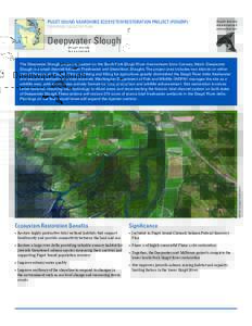 PUGET SOUND NEARSHORE ECOSYSTEM RESTORATION PROJECT (PSNERP) TENTATIVELY SELECTED PLAN Deepwater Slough  IMAGE: Google Earth (2011)