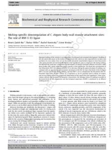 YBBRCNo. of Pages 6, Model 5G ARTICLE IN PRESS