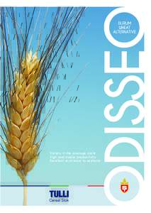 ODISSEO DURUM WHEAT ALTERNATIVE  Variety in the average cycle