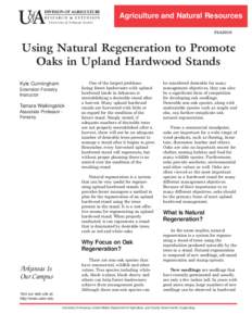 Using Natural Regeneration to Promote Oaks in Upland Hardwood Stands - FSA5010