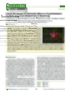 ARTICLE pubs.acs.org/est Dietary Mercury Has No Observable Effects on Thyroid-Mediated Processes and Fitness-Related Traits in Wood Frogs Haruka Wada,§,†,* Christine M. Bergeron,† F.M. Anne McNabb,‡ Brian D. Todd,
