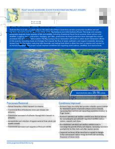 PUGET SOUND NEARSHORE ECOSYSTEM RESTORATION PROJECT (PSNERP) POTENTIAL RESTORATION AND PROTECTION PROJECTS Big Quilcene River Restoration  RESTORATION AREA: