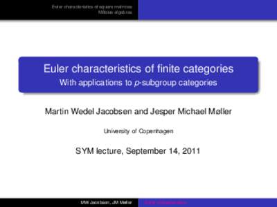 Euler characteristics of square matrices Möbius algebras Euler characteristics of finite categories With applications to p-subgroup categories