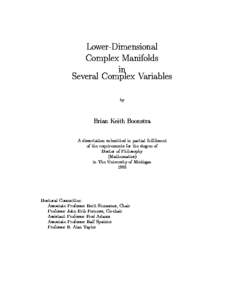 Lower-Dimensional Complex Manifolds in Several Complex Variables by