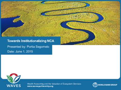 Towards Institutionalizing NCA Presented by: Portia Segomelo Date: June 1, 2015 WAVES © 2014