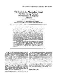 THE JOURNAL OF COMPARATIVE NEUROLOGY 204:Cell Death in the Mammalian Visual System During Normal Development: 11. Superior colliculus