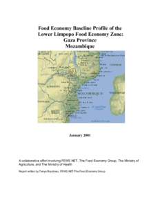 Food Economy Baseline Profile of the Lower Limpopo Food Economy Zone: Gaza Province Mozambique  January 2001
