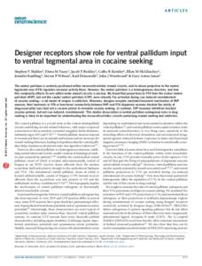 a r t ic l e s  Designer receptors show role for ventral pallidum input to ventral tegmental area in cocaine seeking  npg