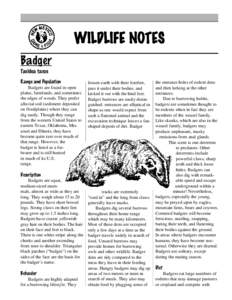 WILDLIFE NOTES Badger Taxidea taxus Range and Population Badgers are found in open plains, farmlands, and sometimes