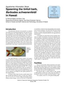 Aquafarmer Information Sheet  C E N TE R Spawning the tinfoil barb, Barbodes schwanenfeldi