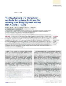 INVESTIGATION  The Development of a Monoclonal Antibody Recognizing the Drosophila melanogaster Phosphorylated Histone H2A Variant (g-H2AV)