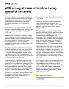 WSU ecologist warns of bamboo fueling spread of hantavirus